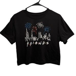 FRIENDS the TV Show Top